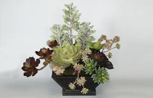 Succulent Local Delivery, Installation